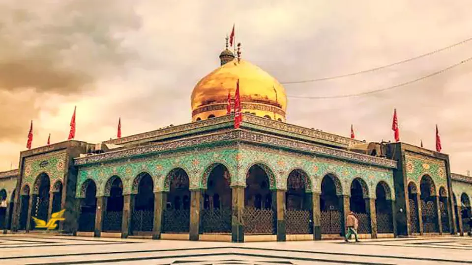 پناهگاه درماندگان