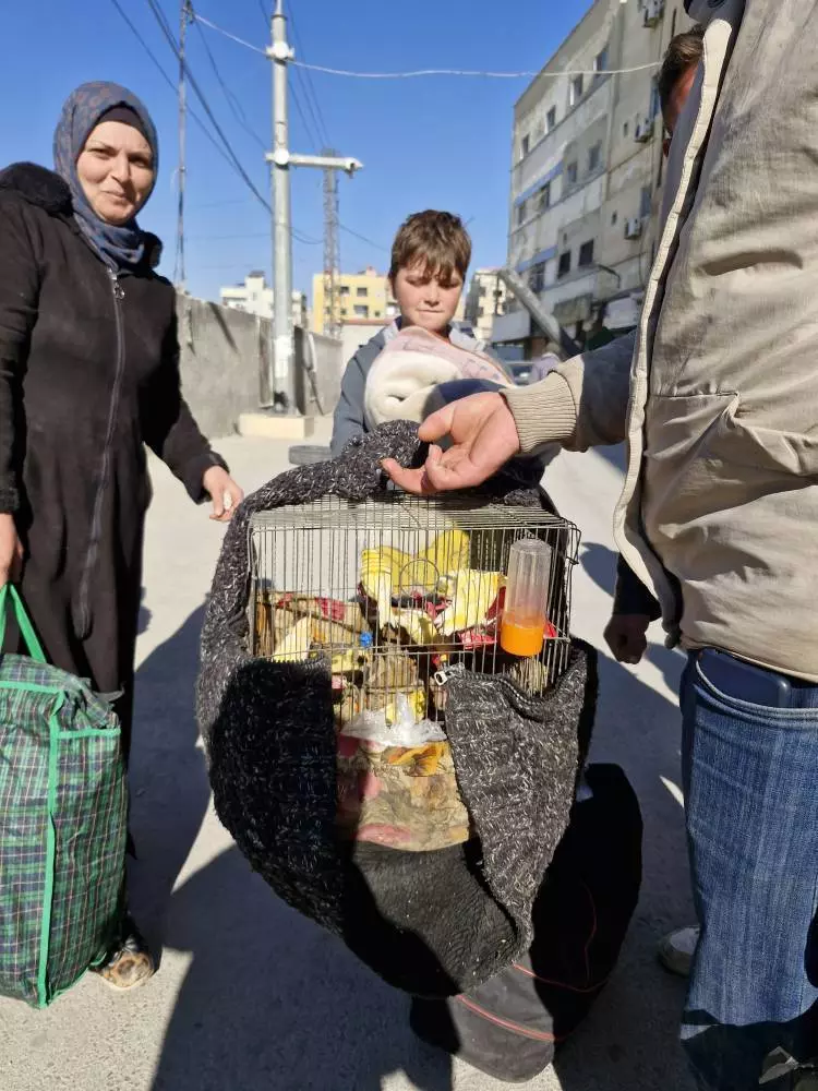 علی اما دست مادرش را رها کرده بود...